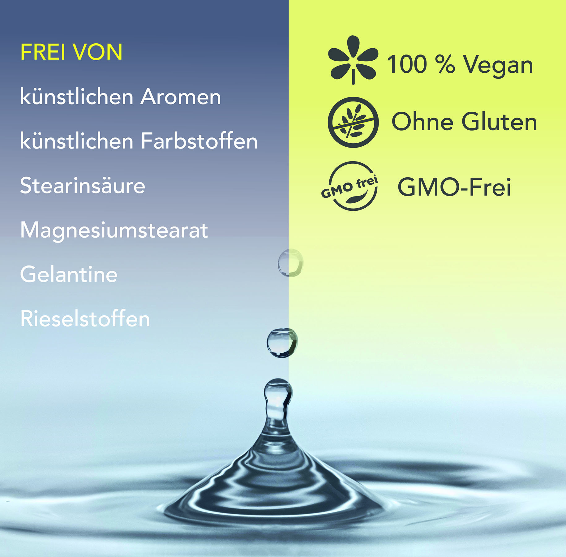 Frei von – Magnesium Komplex Top 4